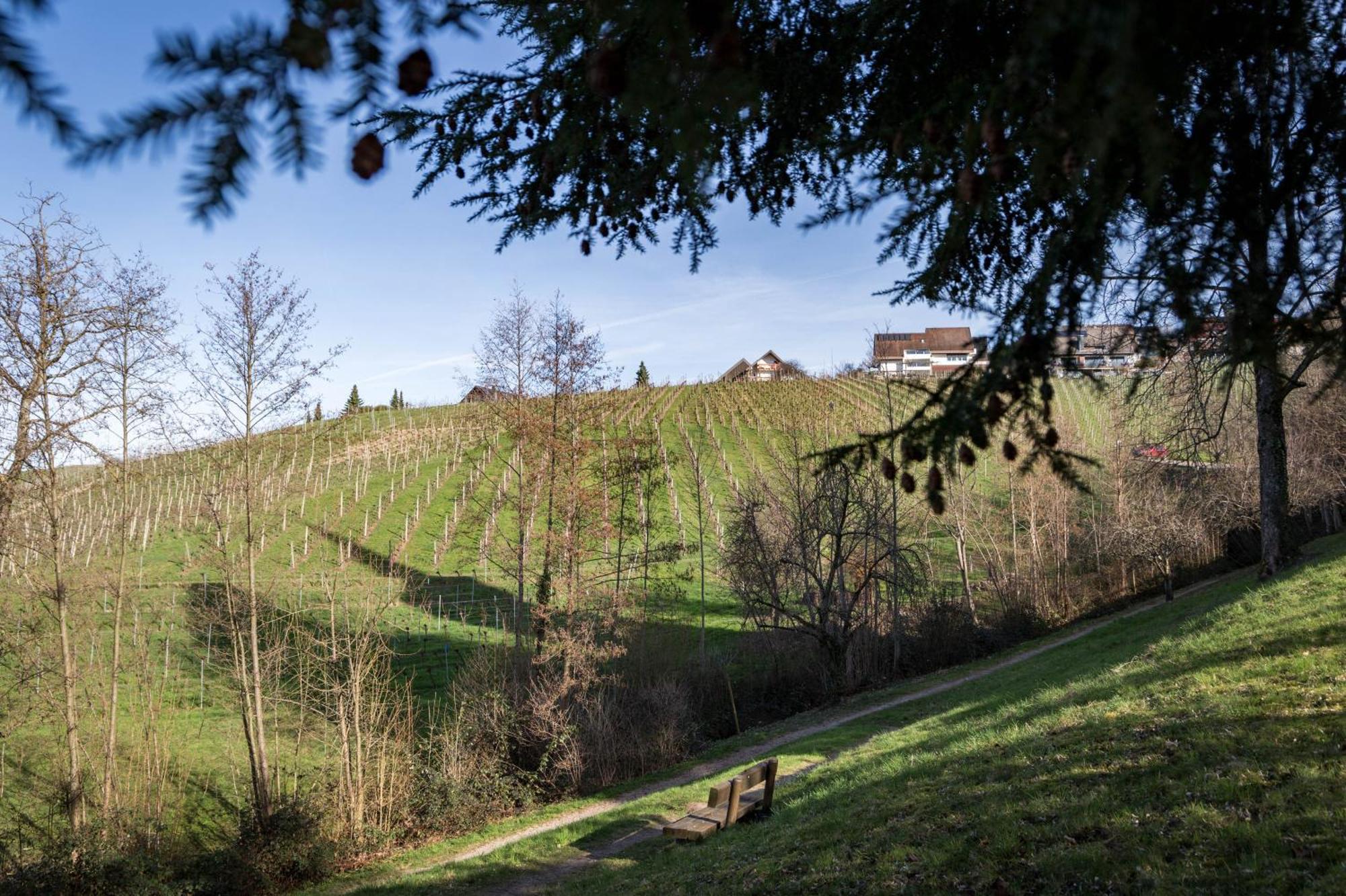 Living Timeless - Adler Apartments Sasbachwalden Zewnętrze zdjęcie