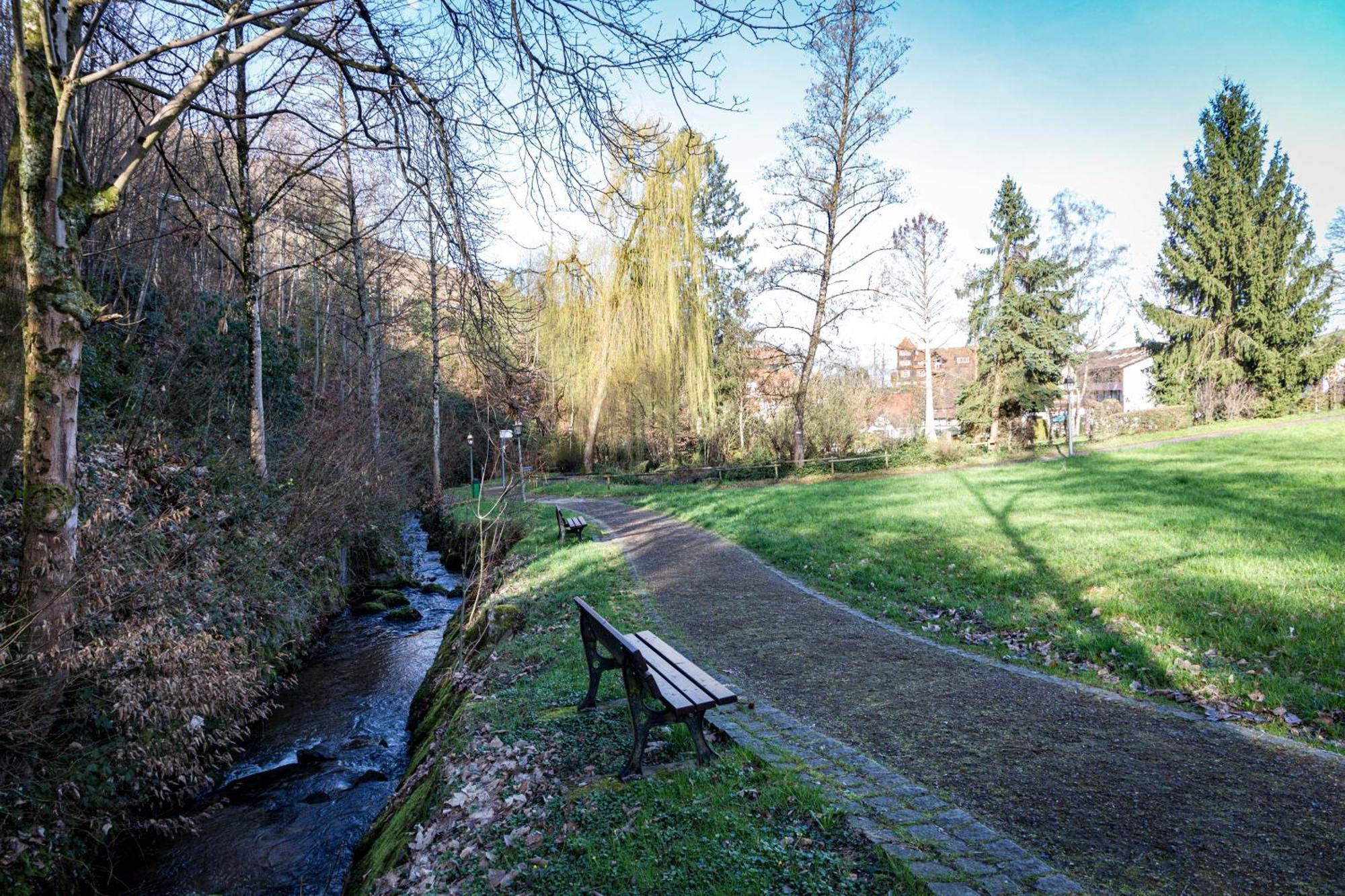 Living Timeless - Adler Apartments Sasbachwalden Zewnętrze zdjęcie