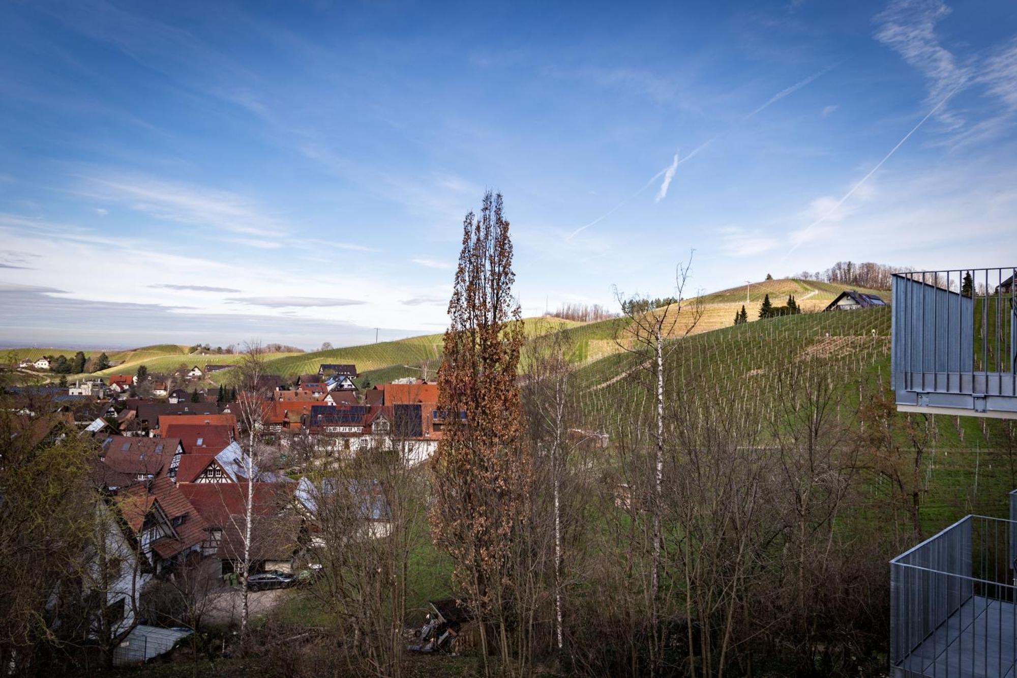 Living Timeless - Adler Apartments Sasbachwalden Zewnętrze zdjęcie